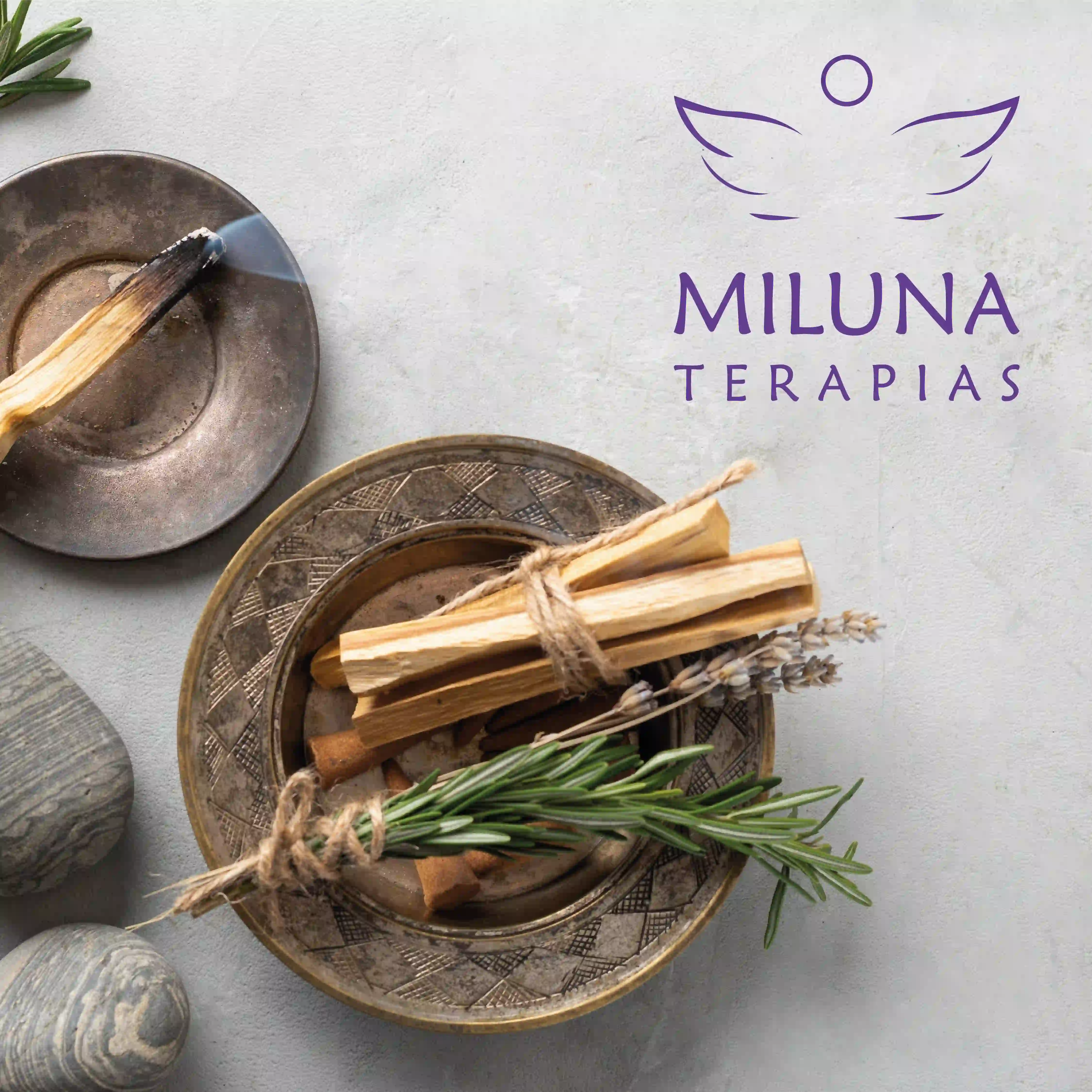 Graphic Design project by Mia Design showcasing Miluna project